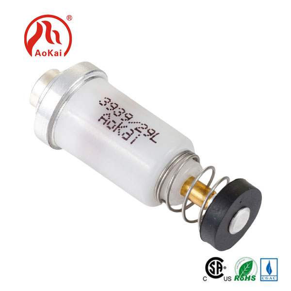 Pagluto Appliance Oven Solenoid Valve